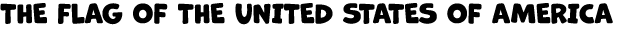 THE FLAG OF THE UNITED STATES OF AMERICA