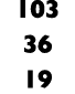 103 36 19