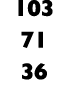103 71 36