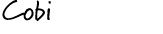 Cobi