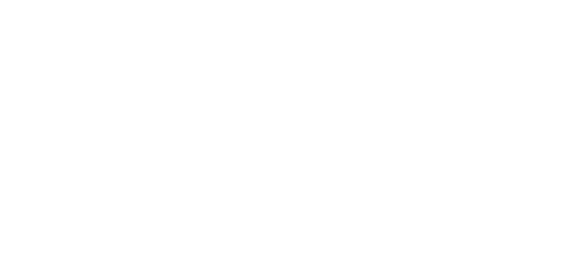 Amigos